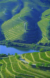 Vallée du Douro