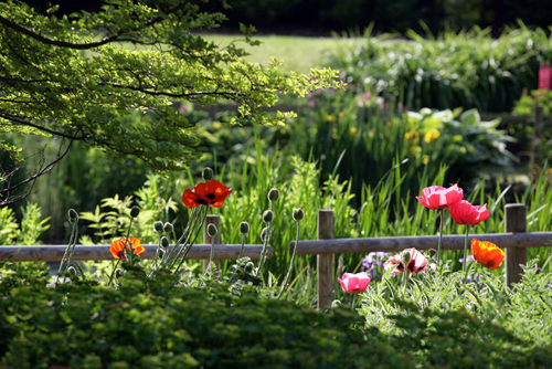 Metz Jardin botanique