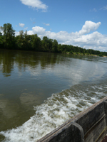 La Loire dans la Nièvre