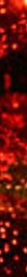 boule rouge