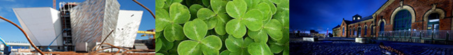 Shamrock