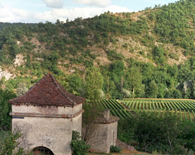 le Vignoble cadurcien