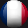 Bouton drapeau francais